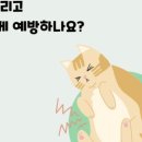 상암동물병원 이미지