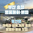부산 기장 송정 명품물회 본점 유명한 바다뷰 물회집