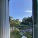 마레휴플러스 이미지