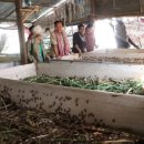 관영농장 이미지