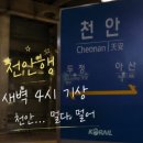 인생인셀덤 | 리만 ICD 인셀덤 7일 체험 후기, 솔직히 처음엔 적응이 안 됐습니다