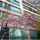 묵정어린이공원 이미지