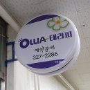 올리아 테라피 이미지