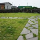 판판포포 이미지