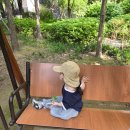 다이소 아기모자 유아 여름 모자 가성비 내돈내산 후기 (고민하면 바로 품절!)