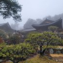 대한불교마트 이미지