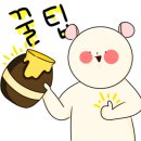 피부미인인셀덤 이미지