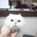 지오살롱