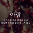 [팬클럽명] 아람단 이미지