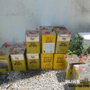 써니유통 이미지