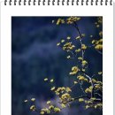 동명초등학교 이미지