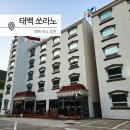 태백관광호텔(SORANOHOTEL) | 강원도 태백 숙소 관광호텔 쏘라노 트윈룸 후기