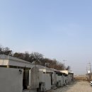 189 | [평택 가든189] 당일치기 글램핑 이용 후기 | 애견동반 가능