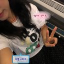 381 | 대전 당일치기