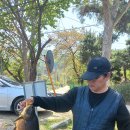 ▥▥ 5kg 헤비급 향어 출현 4월 셋째주 주말 조황입니다 ▥▥ 이미지