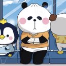 헬로우동물병원 이미지