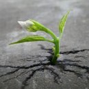 신양2리 경로당 이미지