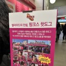 주식회사 빅토마토(토마토마트) | 판교 현대백화점 지하 맛집 핑크스 핫도그 내돈내산 솔직후기