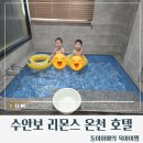 리몬스온천호텔 | [충청도/충주]충주수안보리몬스온천호텔 가족탕 후기/겨울온천여행지추천/아이와가기좋은수안보온천호텔...