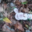 000-2-000049 이미지