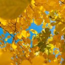 제이메디의원 이미지