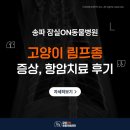 희망로H동물병원 | 잠실 동물병원 고양이 림프종 증상 항암 치료 후기