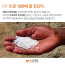 HACCP 식품공장바닥 뉴크리트! 이미지