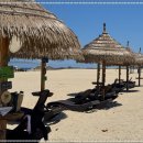 남애서핑클럽 이미지