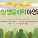 병풍바위야영장 | 소나무숲 여름캠핑 삼척캠핑장 산양 병풍바위야영장