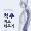 본척추교정운동