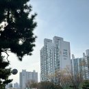 꽃시루수제떡