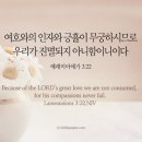 애가 이미지