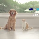 안전카써비스 이미지