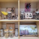 아이숲어린이도서관 이미지