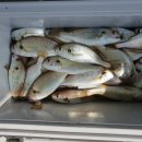 미성프라자 이미지