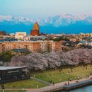 장수옥순대국 이미지