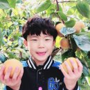 숲속나라유치원 이미지