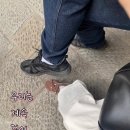 Bullet Train | 피렌체 여행 역근처 호텔 추천 C호텔암바시아토리 위치 숙박 후기(2박) / 스위스 피렌체 가는법