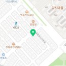 해피애견타운 강아지고양이 분당판교점 이미지