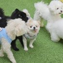 스토리 멍 이미지