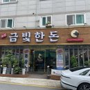 금빛한돈 이미지