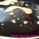 고기먹고밥먹고
