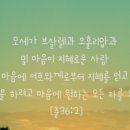 오홀리압 네이버블로그