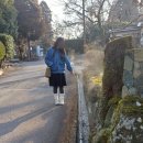 송영 | 후쿠오카 여행 유후인 료칸 여명 Ryokan Reimei 가이세키(석식/조식) 픽업 송영서비스 후기