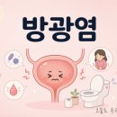 이정약국 | 방광염, "물 많이 마시면 낫는다"는 말 절반만 맞습니다 — 약사가 풀어쓰는 방광염 A부터 Z까지