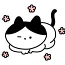 와글아이 동광주홈플러스 이미지