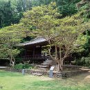 무성 건축사 사무소 | [지역답사수첩] 우애와 효행의 산실, 안동 체화정(安東 棣華亭)