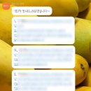 사인오프 | 직장인 1:1 온라인 결정사 솔로오프 이용 후기