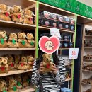 (주)블루칩스 | 시드니 9박 10일] 6일차: 페더데일 동물원 &amp; 블루마운틴 선셋 + 별보기 투어 (호주무한투어) 내돈내산 후기