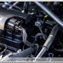 빛카센타 이미지